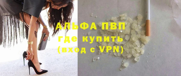 прущие грибы Верхний Тагил