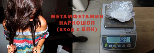 прущие грибы Верхний Тагил