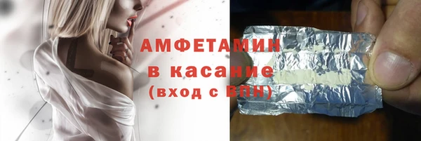 прущие грибы Верхний Тагил
