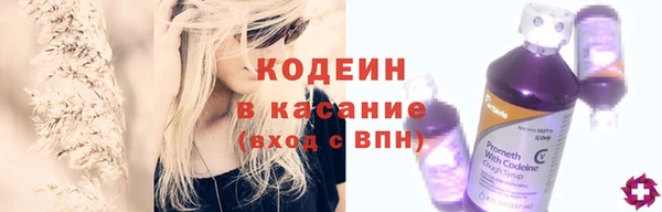 прущие грибы Верхний Тагил