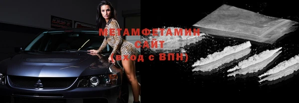 прущие грибы Верхний Тагил