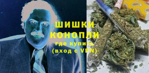 прущие грибы Верхний Тагил