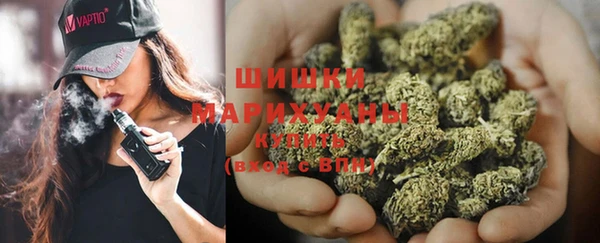 прущие грибы Верхний Тагил