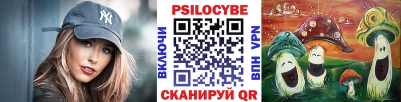 Галлюциногенные грибы мицелий Бологое